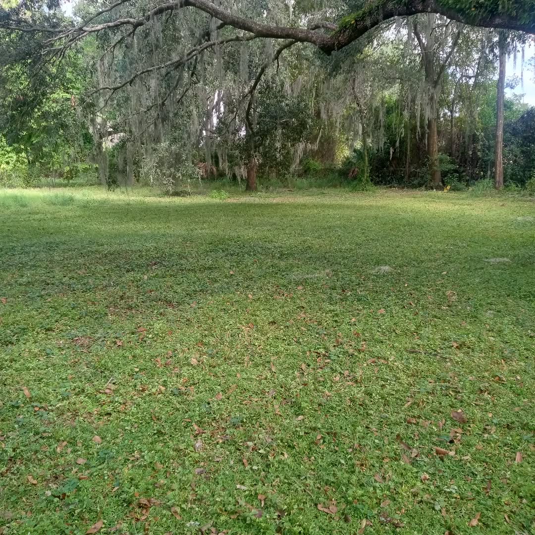 Clean mowed property